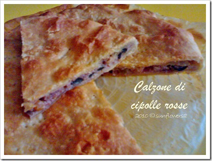 Calzone di cipolle rosse wm1