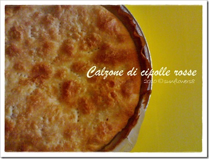 Calzone di cipolle rosse wm