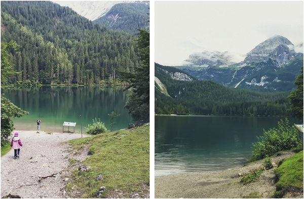 #albeinmalga - Trentino - Val di Non - Coredo - Italia - Lago di Tovel